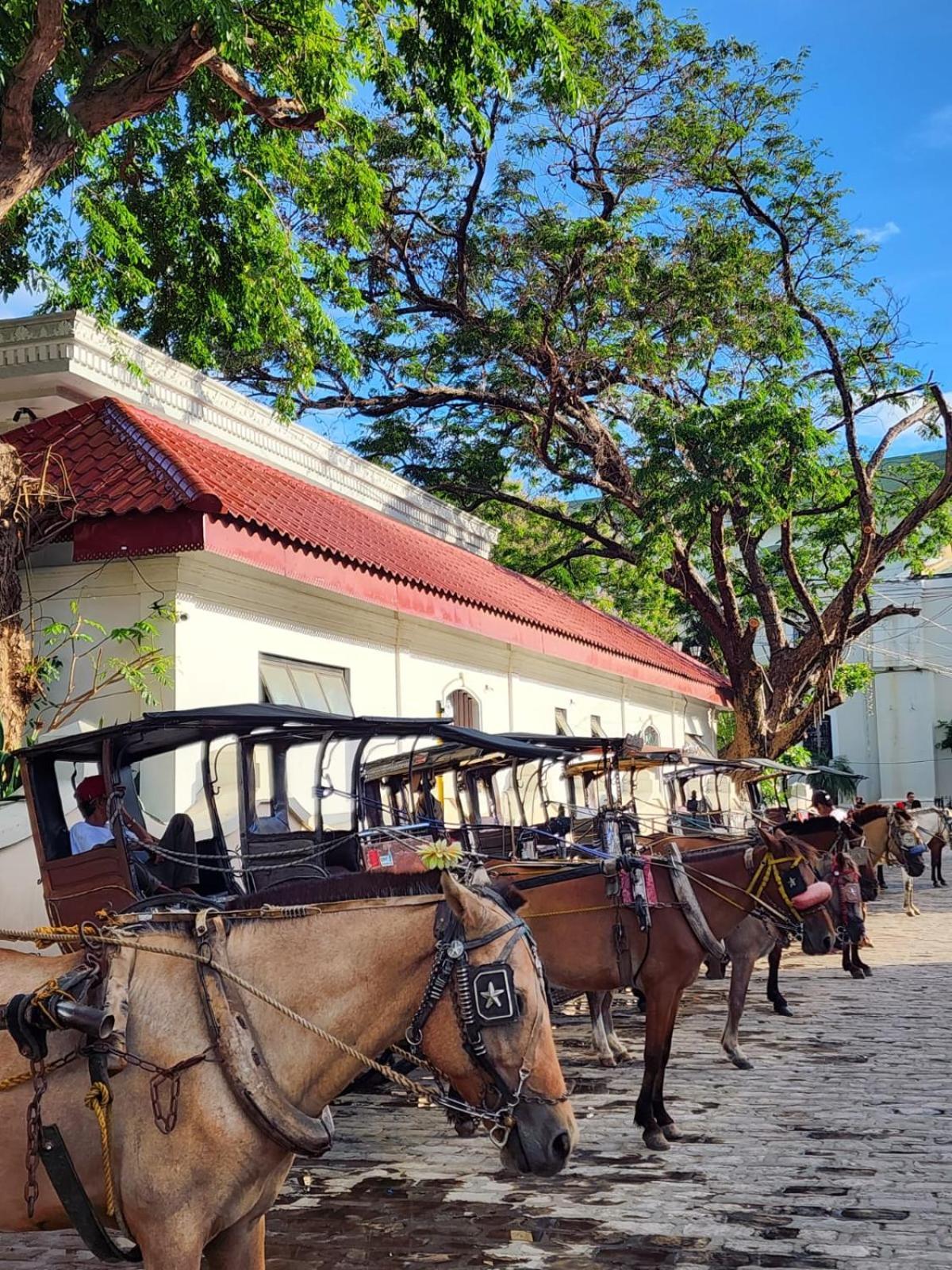 The Orange House - Vigan Villa Exterior foto